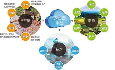 他山之石可以攻玉 借鑒美國農(nóng)業(yè)信息化經(jīng)驗(yàn)，以信息技術(shù)咨詢服務(wù)升級中國農(nóng)民