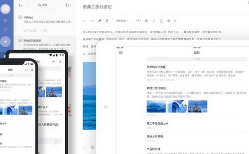 2024年網易有道軟件排行榜、免費試用技巧與設計開發趨勢全解析